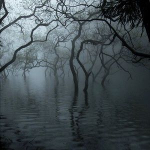 Meet your Posher, Zoë